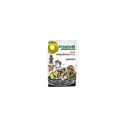 Funghi porcini integrali - funghi,
