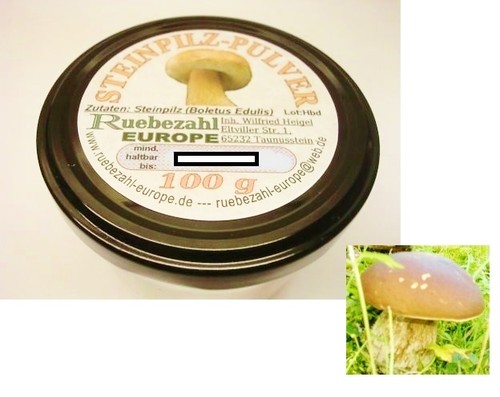 Polvere funghi porcini - polvere,