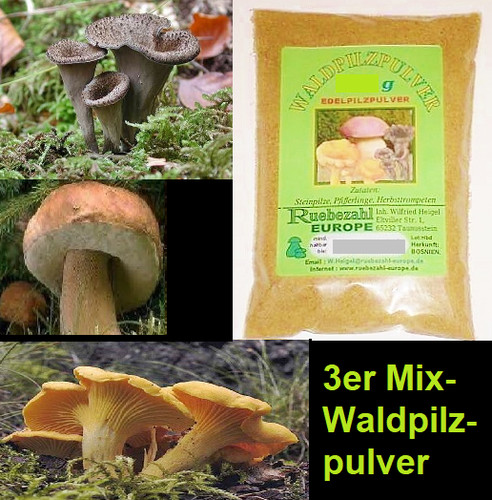 Fungo della foresta polvere - fungo,
