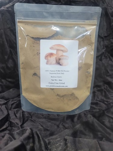 Polvere funghi porcini - polvere,